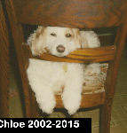 Chloe Willochell 2002-2015